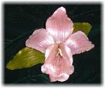 Mother's Day Pink Orchid Pin- This porcelain handmade, hand-painted orchid pin  is painted in translucent light pink and gold enamel details. This beautiful pin comes in a box ready for display or to give. Unique design, one-of-a-kind ! 100% handmade